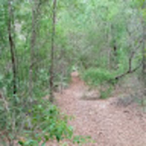 Meet your Posher, Patience